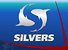 Silvers, интернет-магазин