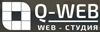 Q-web, WEB-студия
