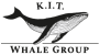 KIT-WhaleGroup, компания