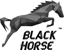 Black Horse, WEB-студия