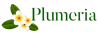Plumeria, интернет-магазин
